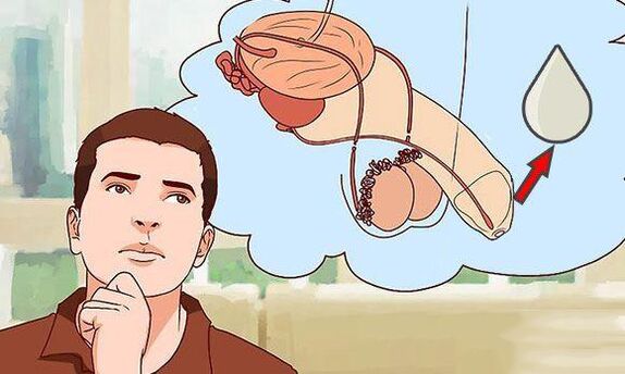 Décharge chez les hommes quand il est excité
