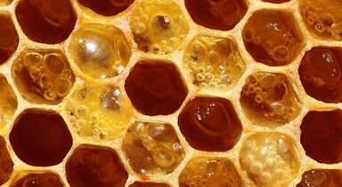 Consommation de miel pour augmenter la puissance