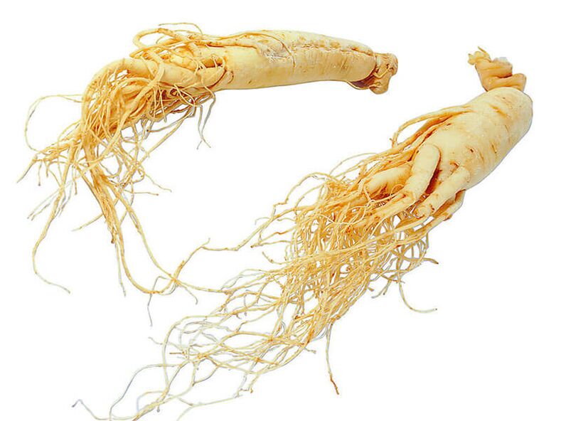 Racine de ginseng pour la puissance
